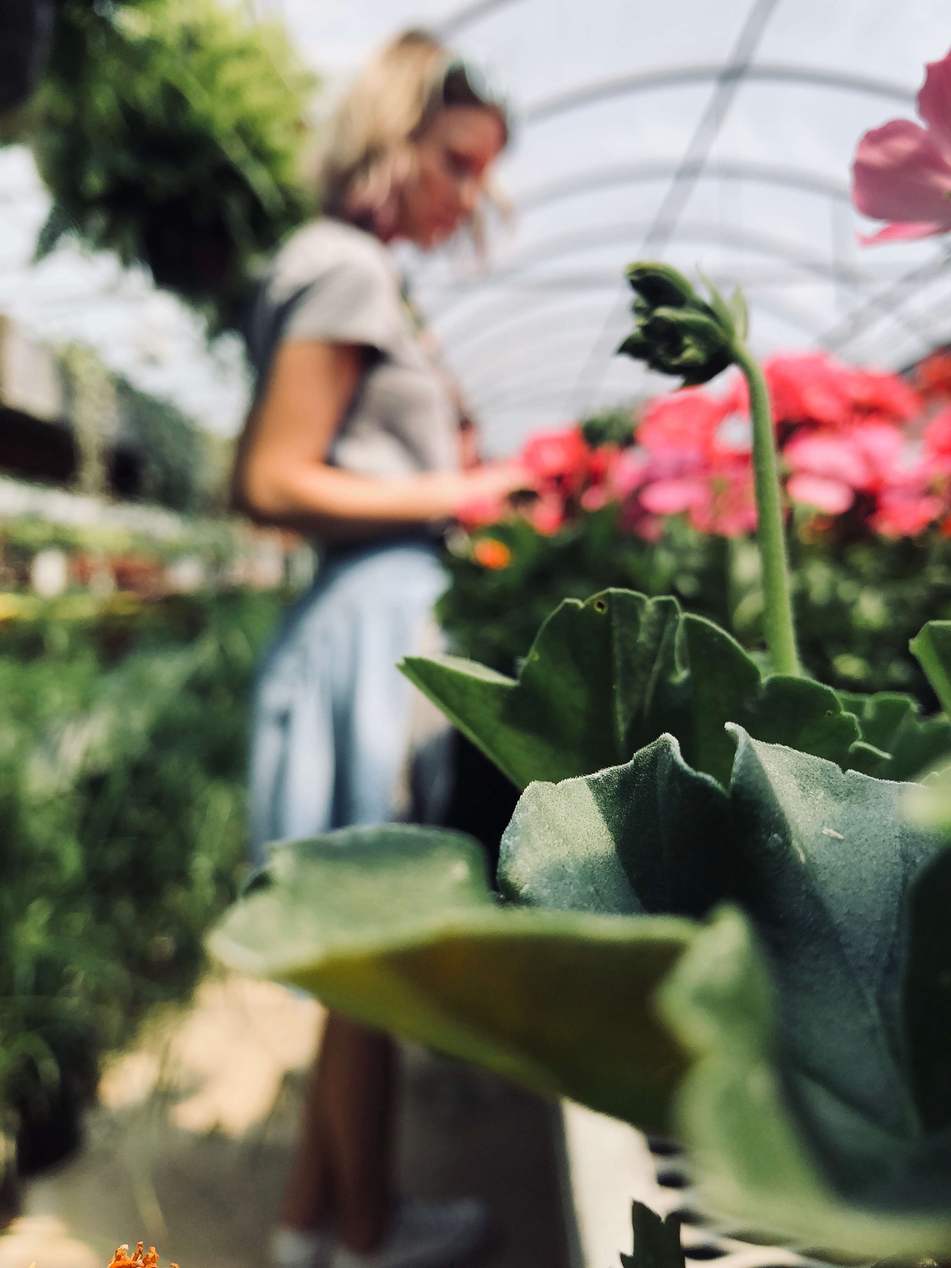 woman looking at plants
